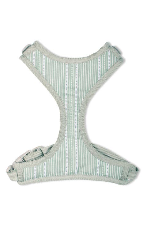 Block Strip Small Dog Harness