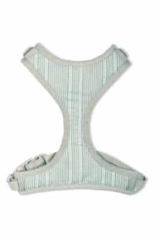 Fringe Studio Block Strip Small Dog Harness