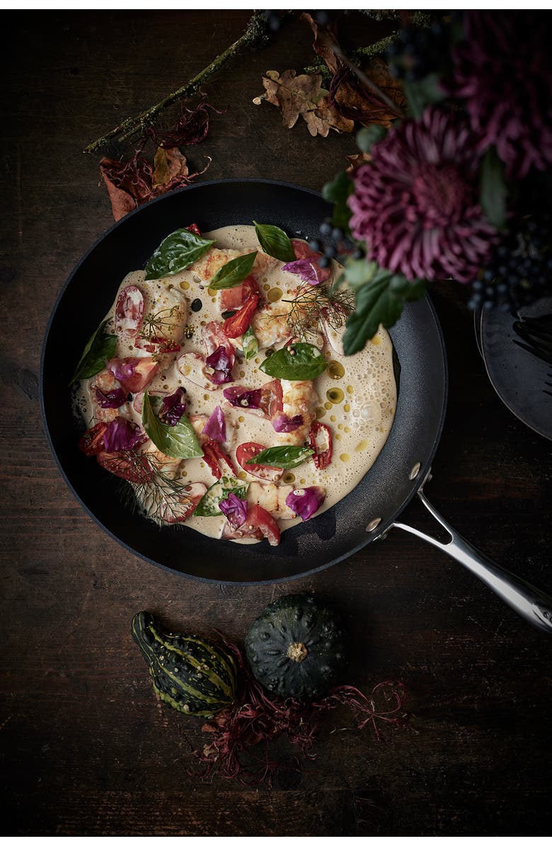 Scanpan Haptiq Stainless Steel Nonstick 10.25-Inch Fry Pan, Alternate, color,