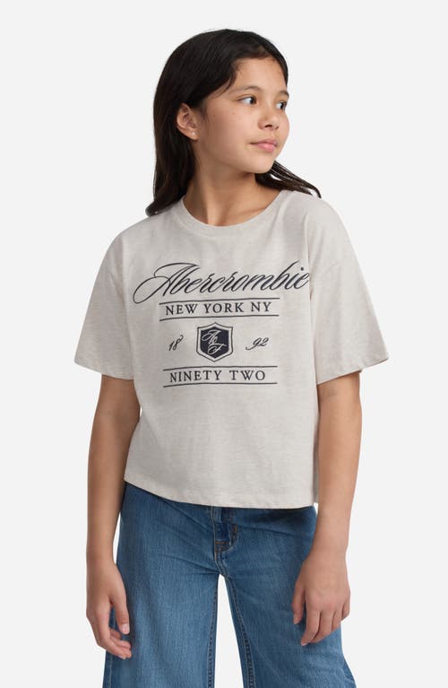 Abercrombie Kids Kids' Logo Graphic T-shirt In Gray