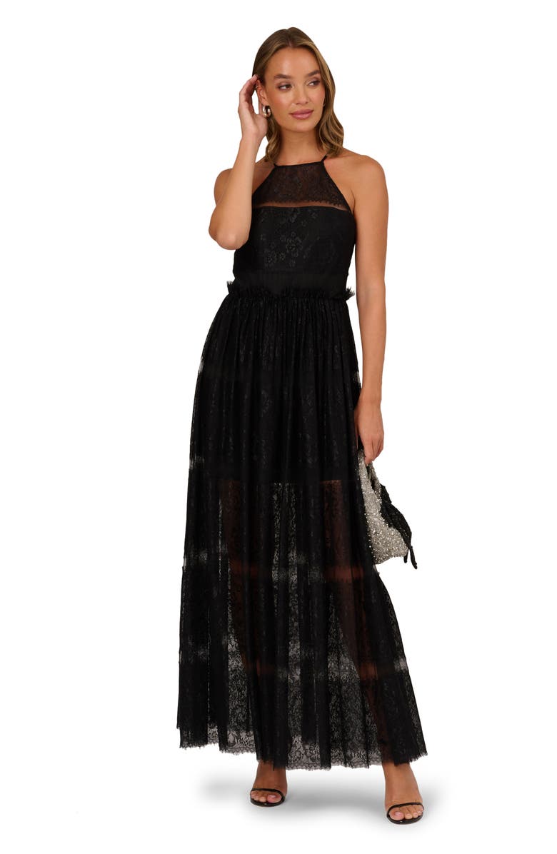 Adrianna Papell Mixed Lace A-Line Gown, Alternate, color, Black