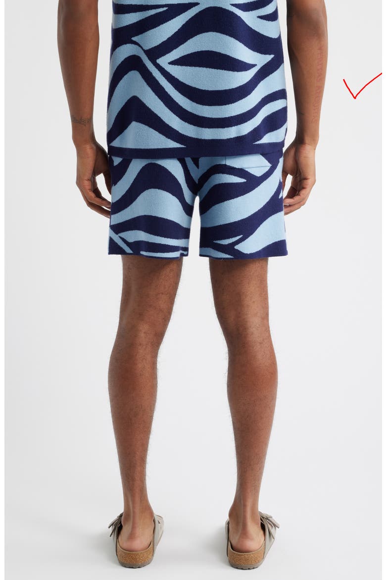 Wave Knit Shorts, Alternate, color, BLUE