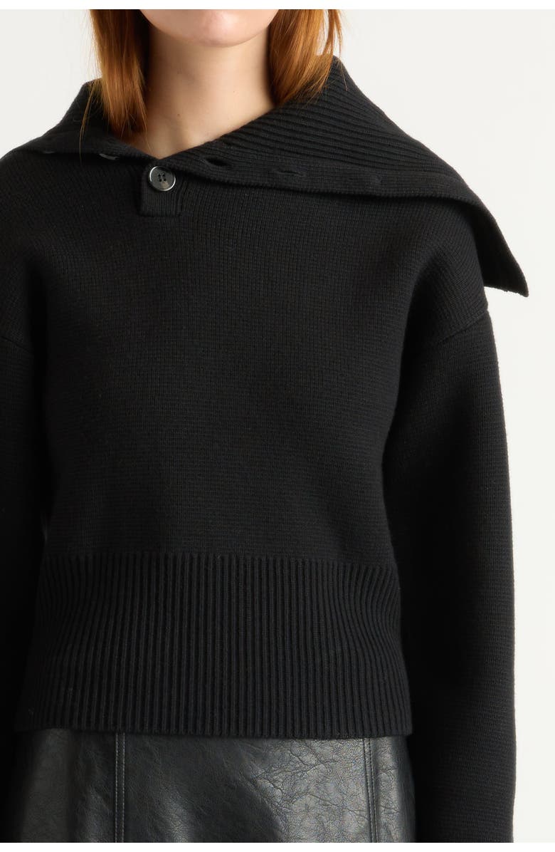 Modern Citizen Elijah Foldover Button-Collar Sweater, Alternate, color, Black