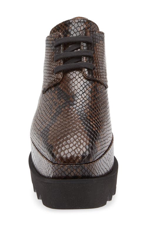 Stella Mccartney Sneakelyse Snakeskin Print Platform Sneaker In Brown