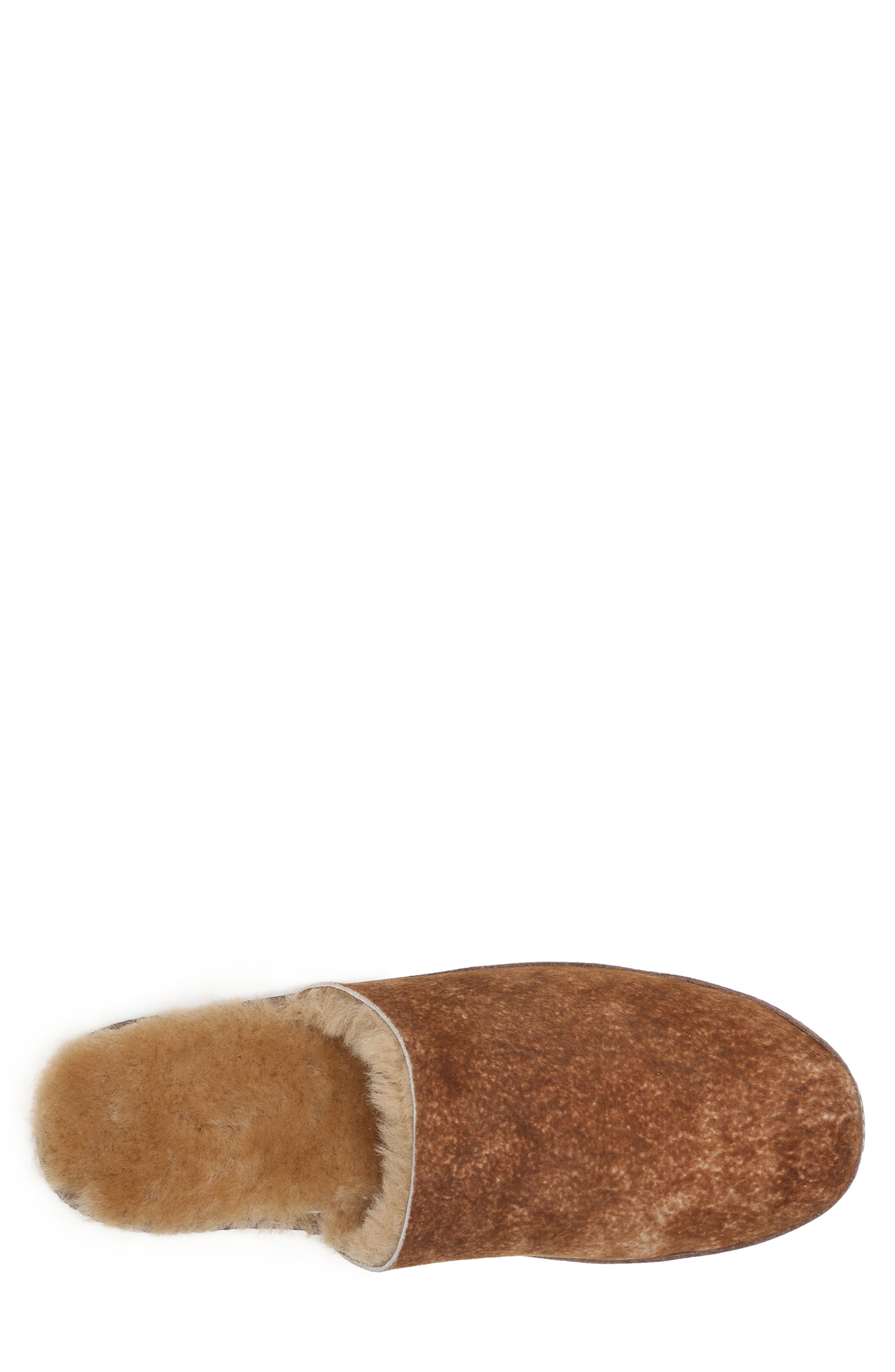 Ross & Snow Treviso Genuine Shearling Slipper, Alternate, color, 