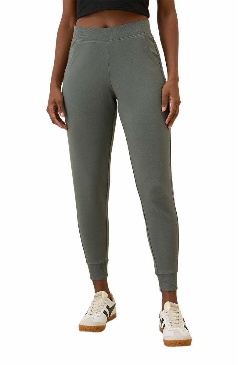 Pact Everyday Airplane Joggers, Alternate, color, Castor Grey