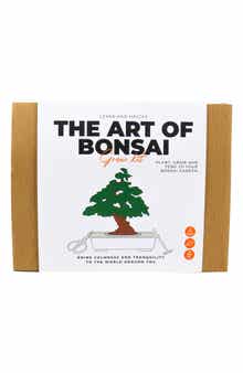 GIFT REPUBLIC The Art of Bonsai Grow Kit