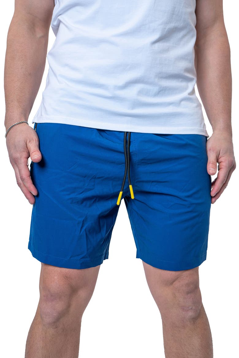 Lion Solid Blue Swim Trunks, Main, color, BLUE