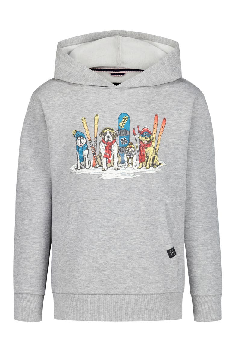 Kids' Snow Dogs Graphic Hoodie, Main, color, GREY HEATHER
