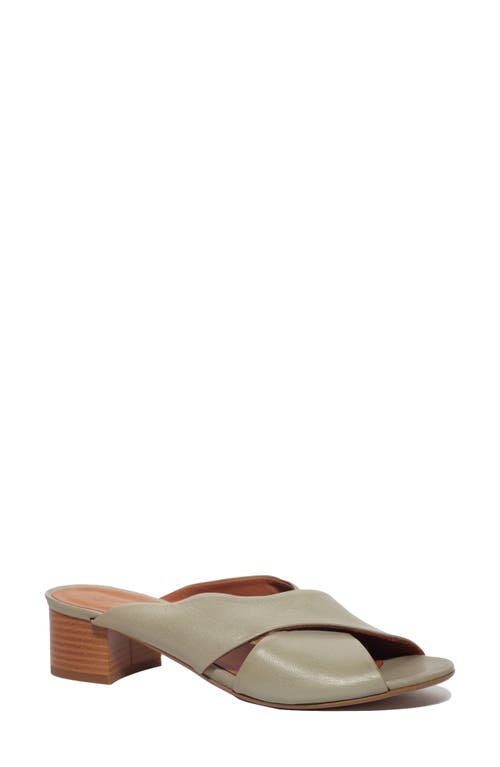 Unity in Diversity Erica Slide Sandal in Khaki  product