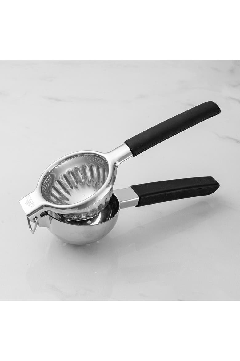 Stainless Steel Citrus Juicer, Alternate, color, Stainless Steel
