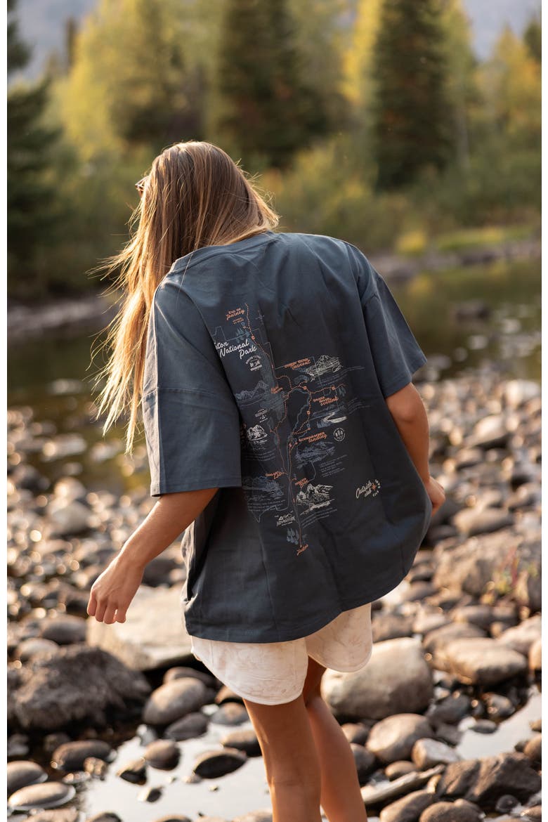 Oversized Tee, Alternate, color, Grand Teton