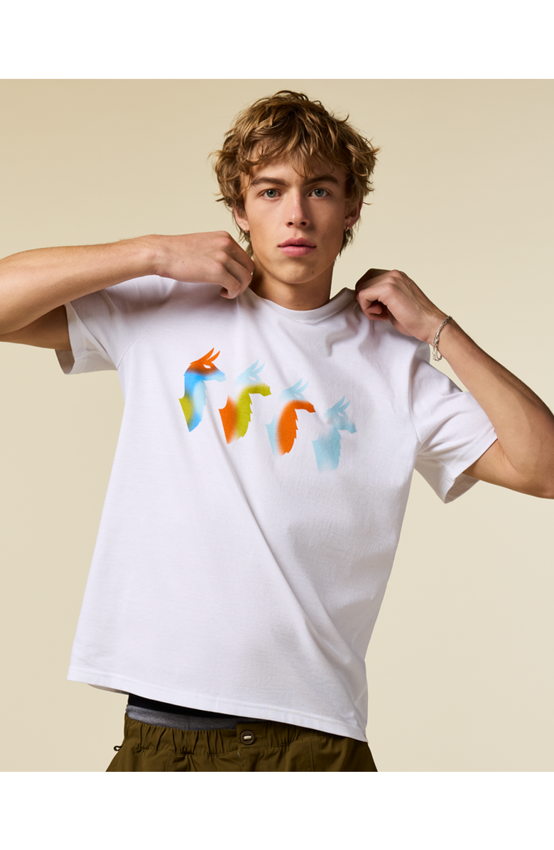 Cotopaxi Cuatro Bitmap T-Shirt - Men's, Main, color, White