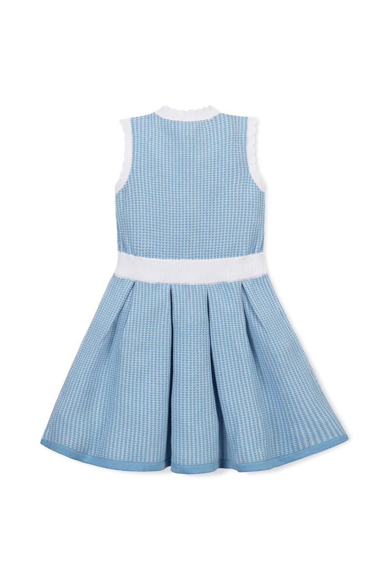 Hope & Henry Kids' Organic Button Front Tank Sweater Dress, Alternate, color, Bluebell