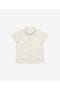 selected Ivory