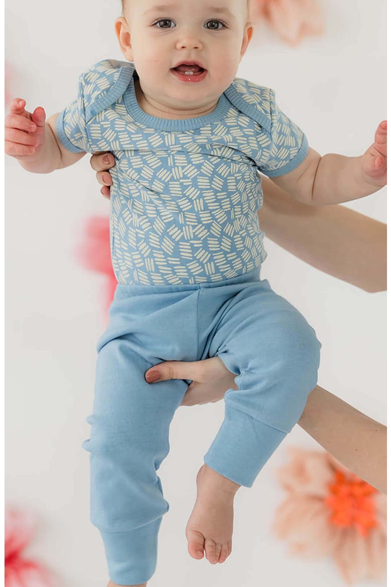 Organic Cotton Baby Pant, Alternate, color, Chambray