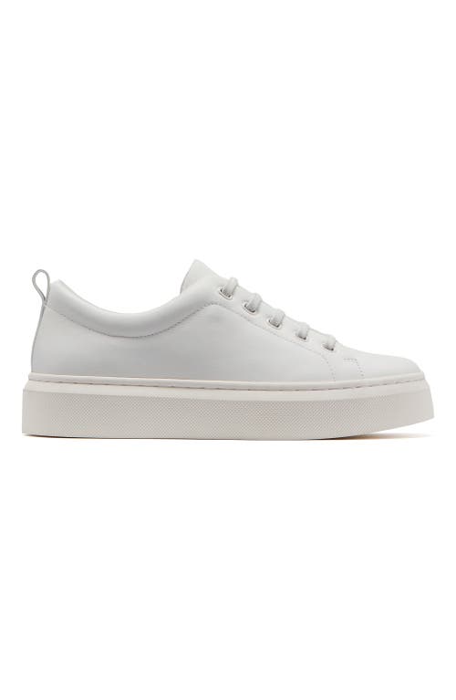 ABEO ABEO JUMPSTREET BUNGEE SNEAKER 
