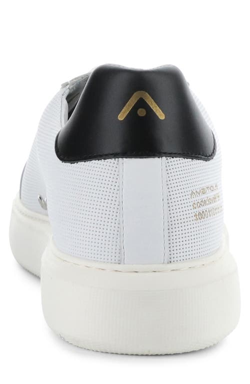 AMBITIOUS AMBITIOUS 10634A LOW TOP SNEAKER