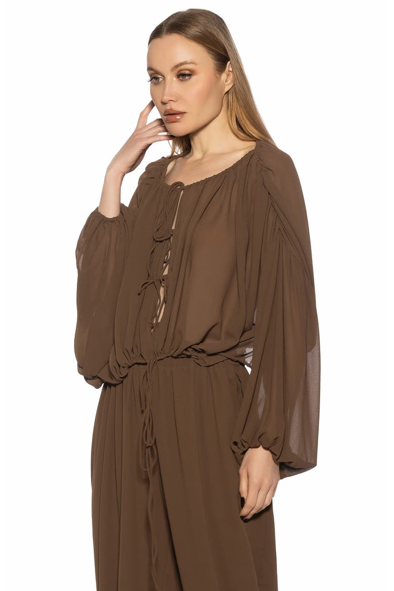 Luca Blouson Sheer TOp, Alternate, color, BROWN