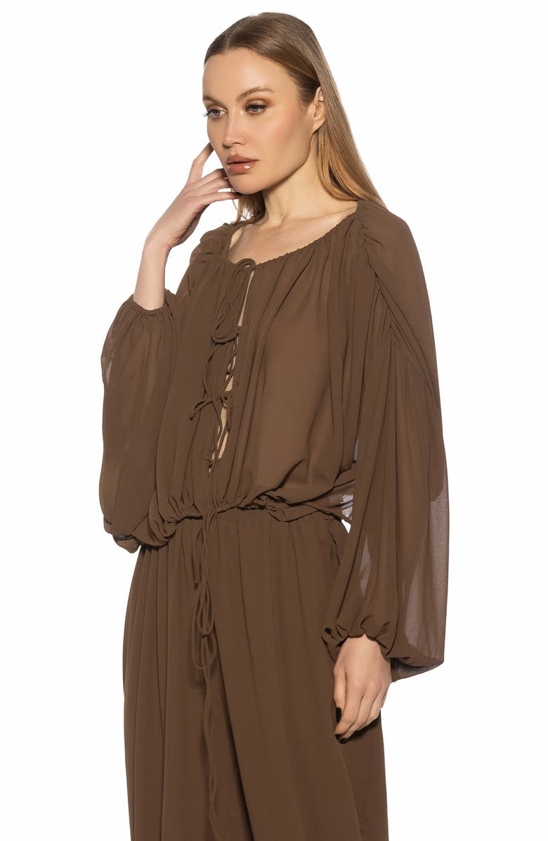 Alexia Admor Luca Blouson Sheer TOp, Alternate, color, Brown