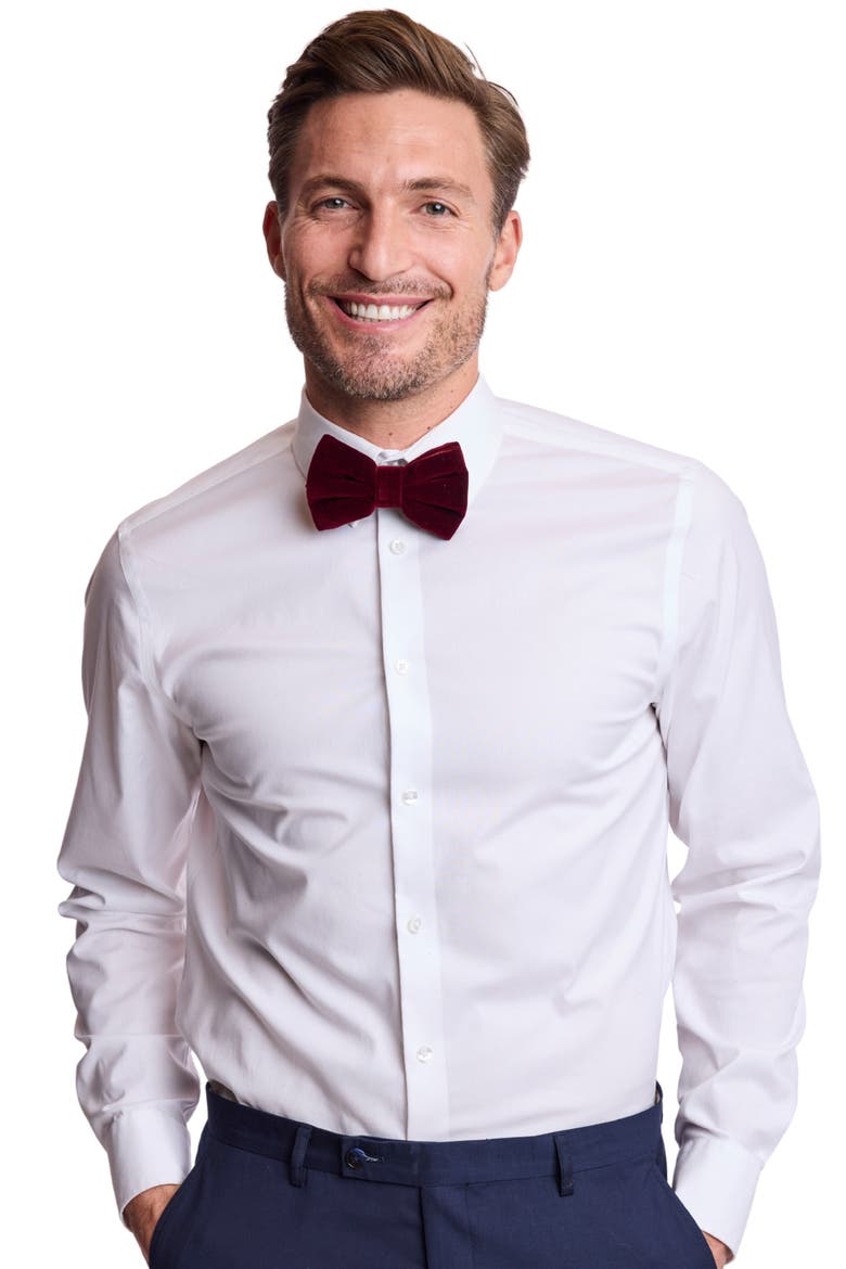 Bradley Velvet Bow Tie, Alternate, color, BURGUNDY VELVET