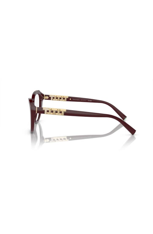 Tiffany & Co . 54mm Cat Eye Optical Glasses In Brown