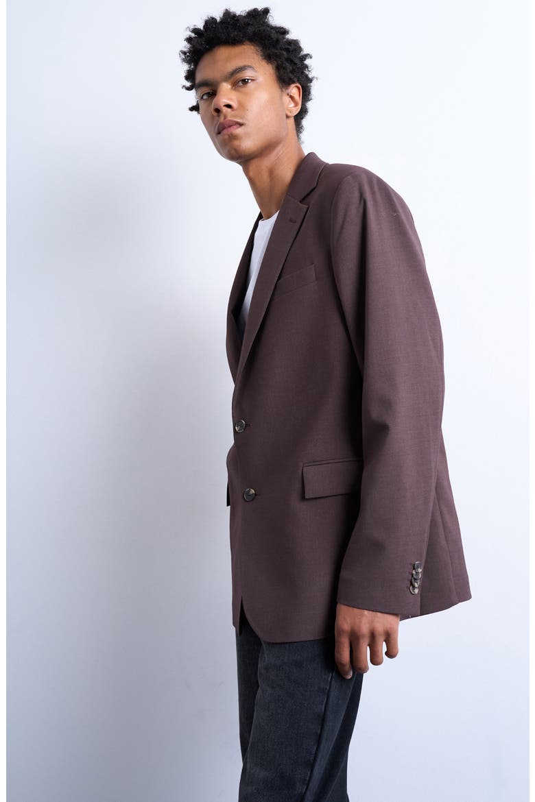 Relaxed Sport Coat, Alternate, color, BROWN