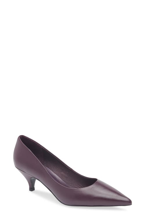Jeffrey Campbell Miss Maam Pointed Toe Pump In Purple
