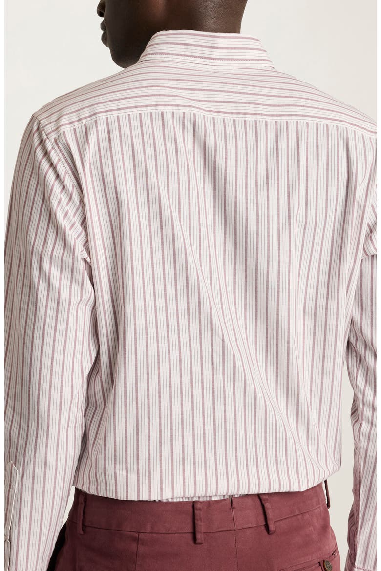 Everyday Slim Fit Stripe Stretch Cotton Button-Down Shirt, Alternate, color, FELIX OXFORD STRIPE C6
