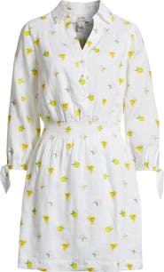 Lilly Pulitzer® Abralynn Linen Shirtdress