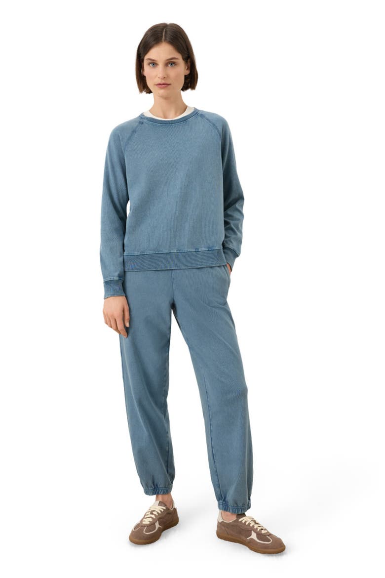 Organic Cotton Weekends Relaxed Raglan Sweatshirt, Main, color, Washed Wedgewood Blue
