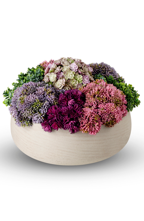 Georgina Sedum Arrangement