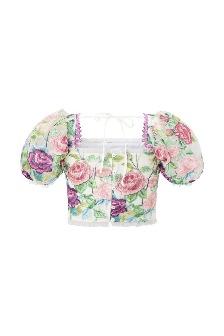 Rachelle Embroidered Top, Alternate, color, Floral