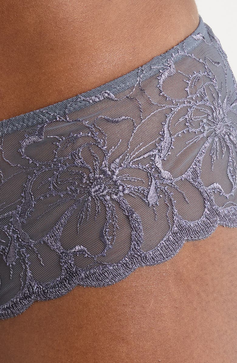 Chantelle Lingerie Fleurs Lace Hipster Panties, Alternate, color, Fancy Grey