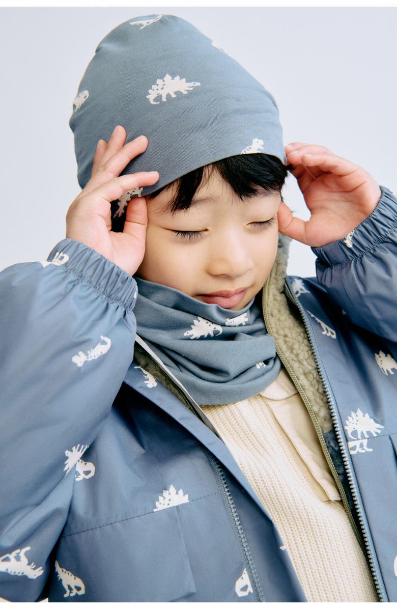 H&M 2-piece Beanie And Tube Scarf Set, Alternate, color, Dusty Blue/Dinosaurs