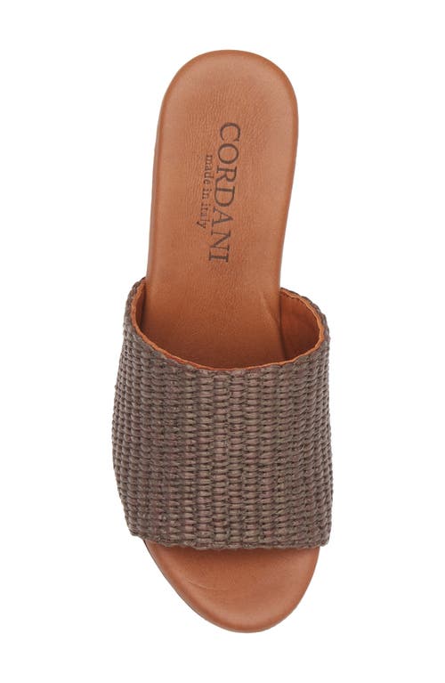 Cordani Waylin Platform Slide Sandal In Cacao Raffia