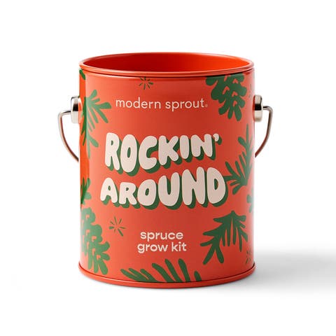 Holiday Complimentary Colors Grow Kit