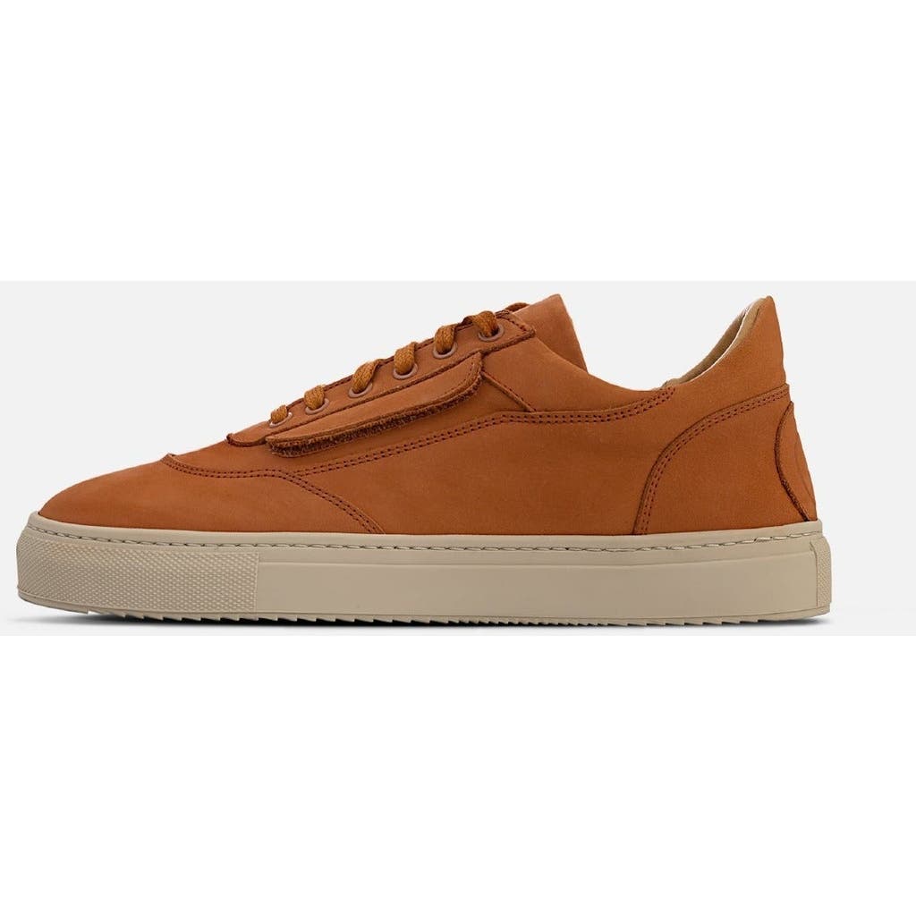 Fini Bold V2 Brick Sneaker In Animal Print