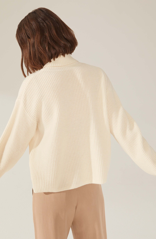 Italic Ellie Chunky Cashmere Turtleneck Sweater In Ivory