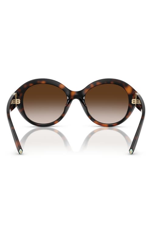 Tiffany & Co . 53mm Gradient Round Sunglasses In Havana