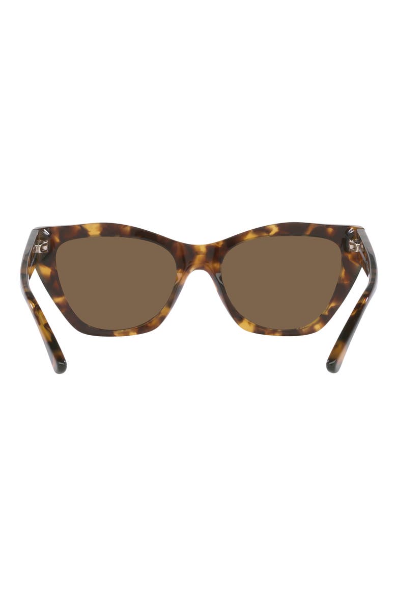 54mm Cat Eye Sunglasses, Alternate, color, SHINY BROWN HAVANA / BROWN