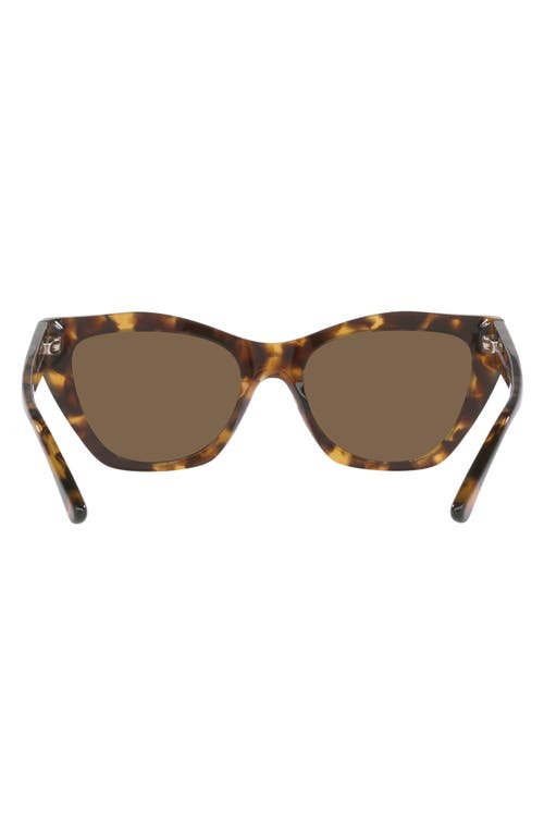 Emporio Armani 54mm Cat Eye Sunglasses In Brown
