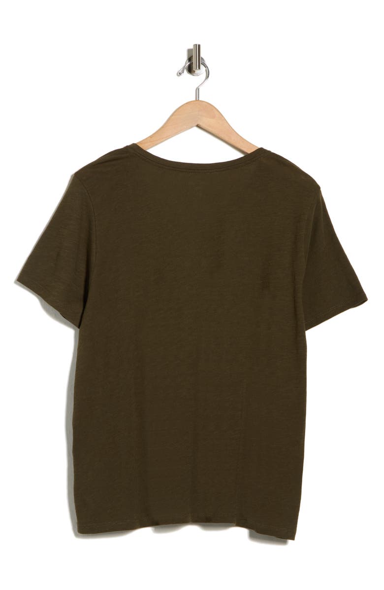 Eileen Fisher Easy V-Neck Organic Cotton T-Shirt, Alternate, color, Branch