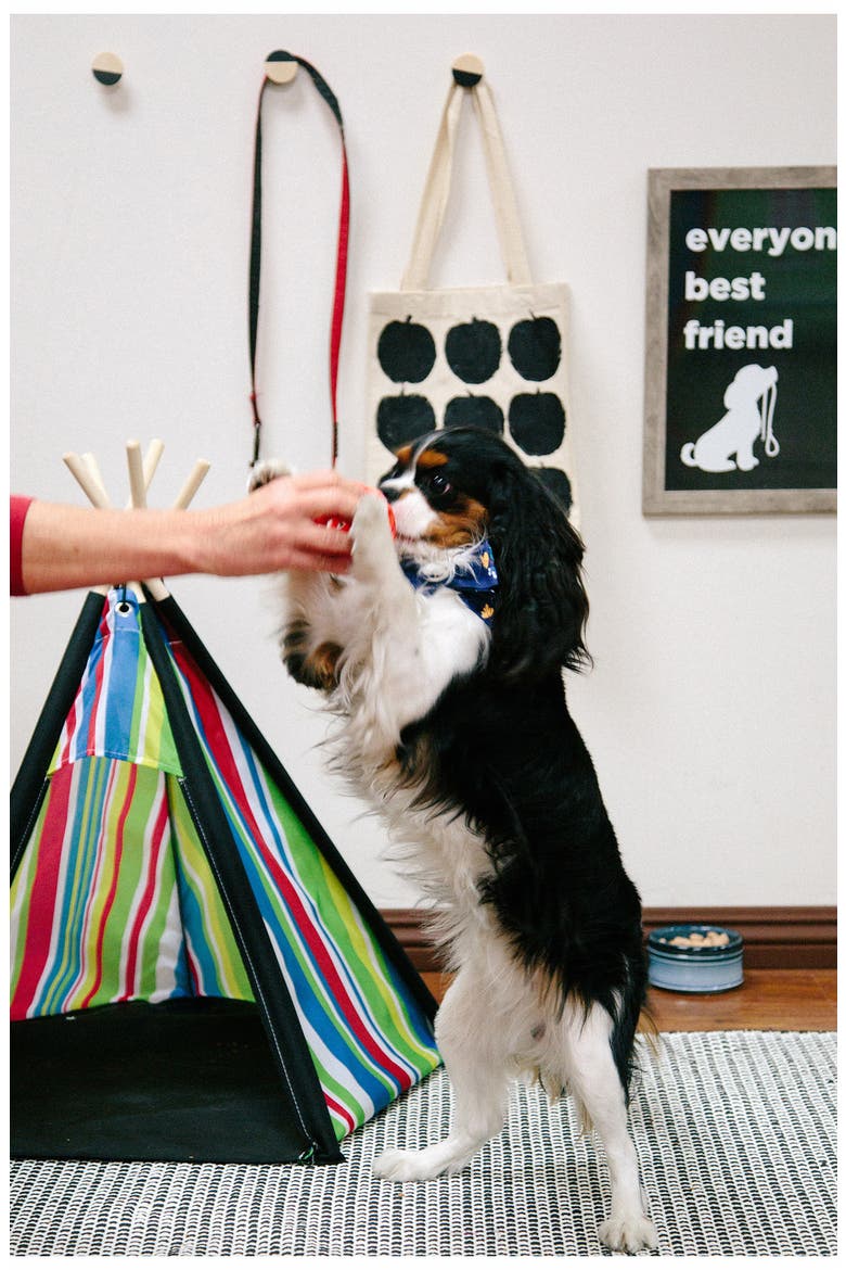 Stripe Pet Tent, Alternate, color, RED BLUE YELLOW GREEN
