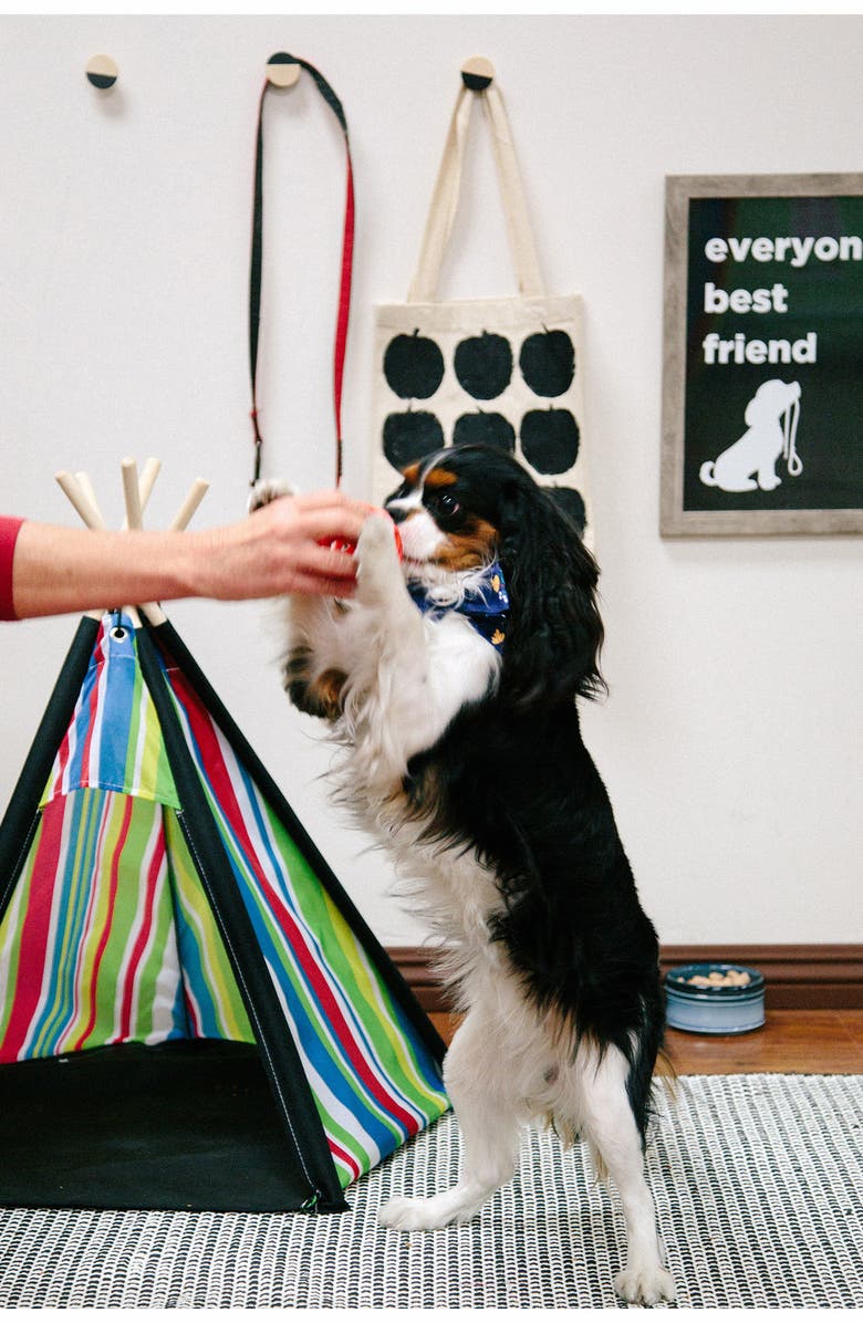 Pacific Play Tents Stripe Pet Tent, Alternate, color, Red Blue Yellow Green