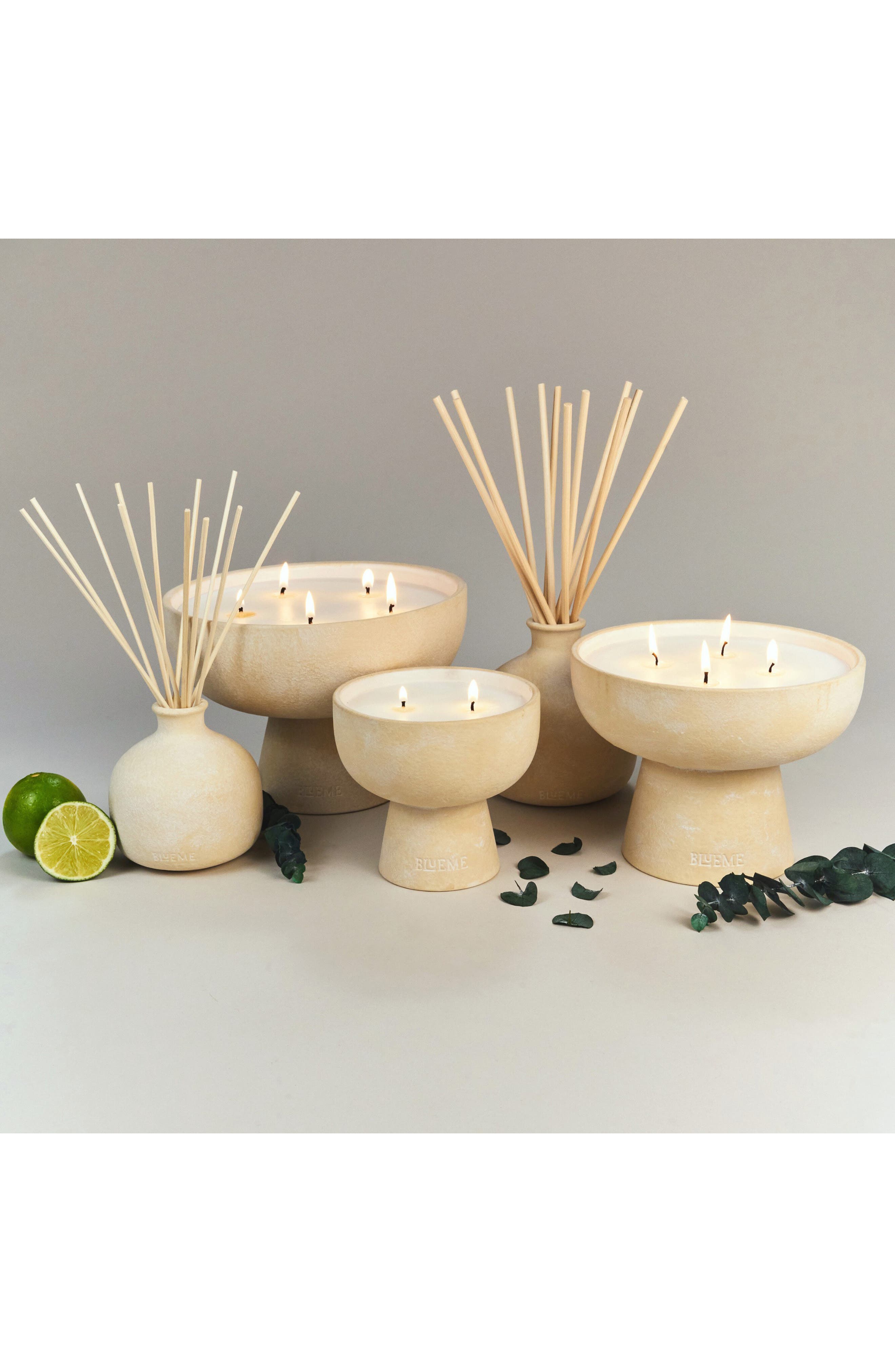 Blueme Focus Small Reed Diffuser Refill | Nordstrom
