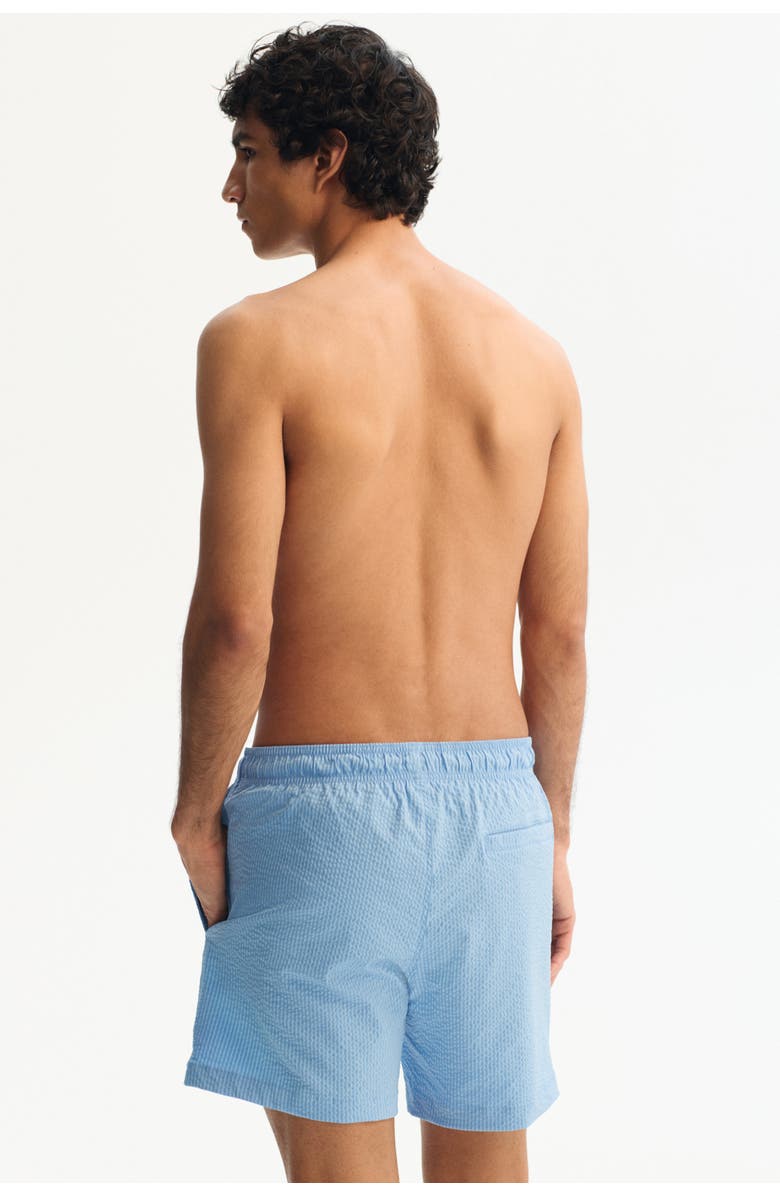 H&M Seersucker Swim Shorts, Alternate, color, Light Blue/Striped