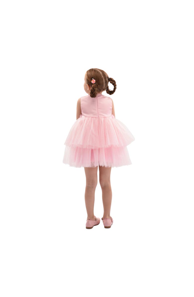 Mimi Tutu Amarielle Floral Waist Tulle Dress, Alternate, color, Pink