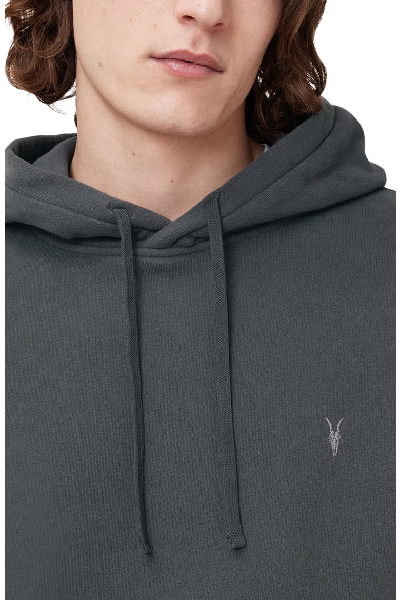 Raven Cotton Hoodie, Alternate, color, CARTER GREY