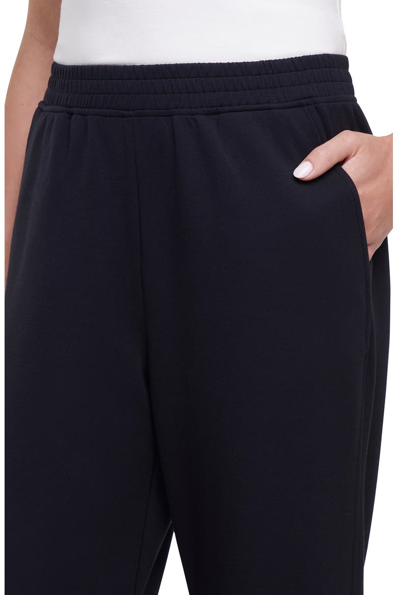 Lana Straight Leg Sweatpants, Alternate, color, BLACK BEAUTY